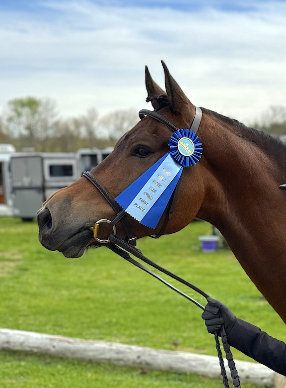 Summer Showing and Conditioning