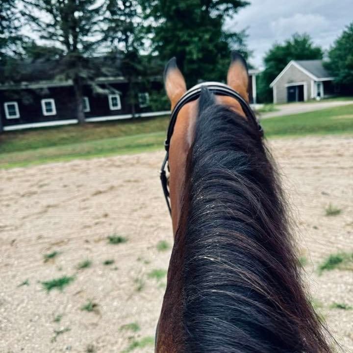 Beginning the Ridden Work